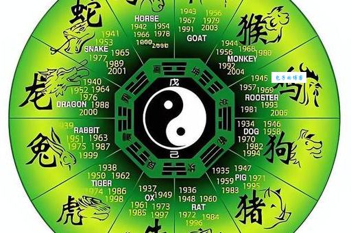 解密星罗棋布打一最佳生肖,原来是它!