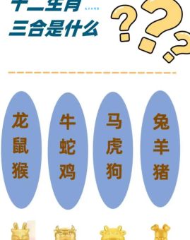猪朋狗友三更出是什么生肖？答案让你大吃一惊！