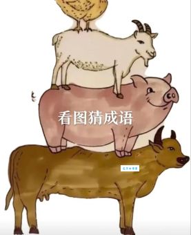 三马同槽打一正确生肖的谜底，想不到是这个生肖！