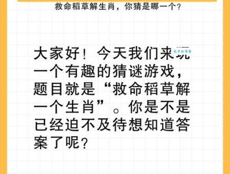 安然无恙打一个生肖的正确答案，让你恍然大悟！