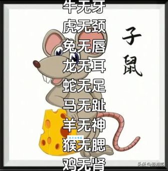 诪张为幻开过什么生肖？别被表面现象迷惑了！