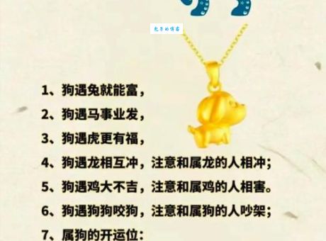 绰绰有余是什么生肖？专业解读生肖趣闻！