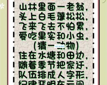 襟飘带舞指什么生肖?快来揭晓这个谜底!