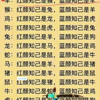 尺有所短打一精准生肖，这个谜底究竟是什么？