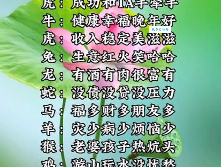 游山玩水打一正确生肖解析，你猜对了吗？