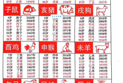 诪张为幻是什么生肖？看完你就明白了！