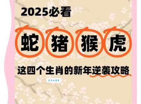 诪张为幻是什么生肖？看完你就明白了！