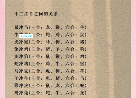 长生不死最正确生肖：探究十二生肖与长寿的奥秘！