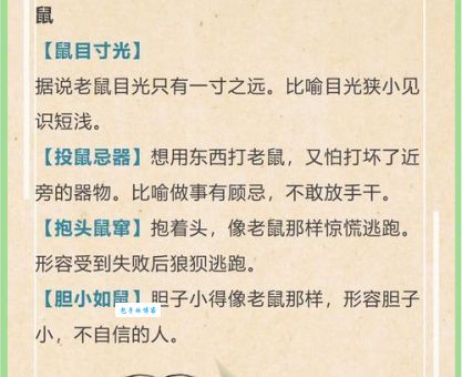 想知道憨态可掬生肖是谁？这篇告诉你答案！