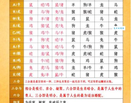 游山玩水的生肖是哪个？深度解析十二生肖性格！