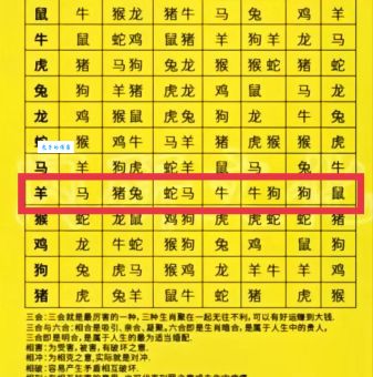 苦不堪言打一最佳生肖是谁？快来看正确答案！