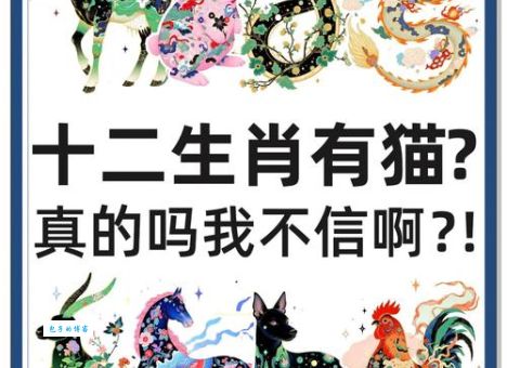 “造次颠沛是什么生肖”有关？快来看看你的生肖准不准！