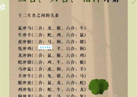 三分天下一归九打一准确生肖怎么解？这里有权威解析！