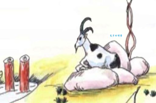 救亡图存的生肖真的存在吗？专家深度解析！