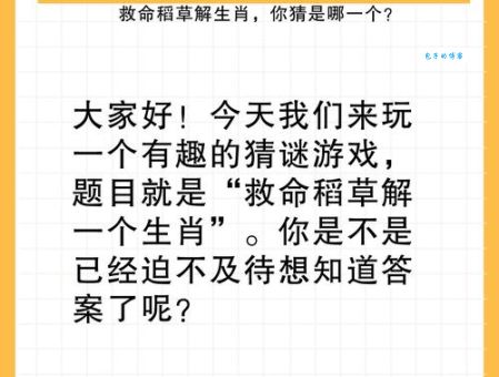 众醉独醒打一准确生肖,答案出乎意料!