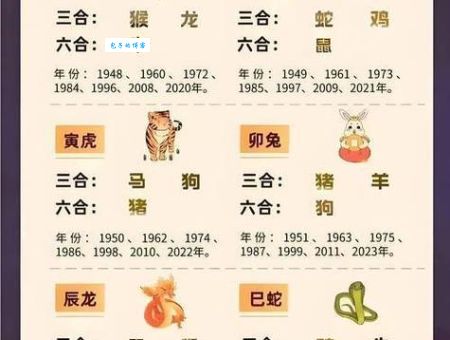 一片天机定虎狗打一正确生肖到底是什么？答案在这里！