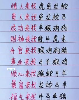 众醉独醒打一正确生肖，揭晓最准确的生肖答案！