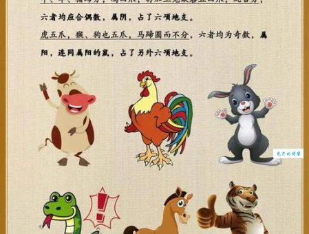 獐头鼠目打一正确生肖是什么？答案马上揭晓！