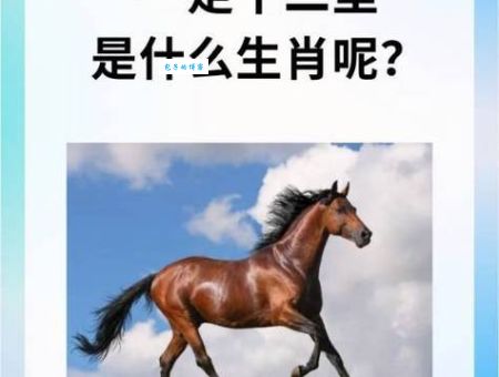 信马由缰指什么生肖？猜对的人没几个！