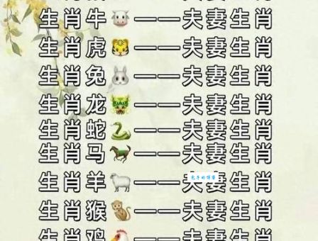 探索阳光照耀是什么生肖，看看你是哪一个！