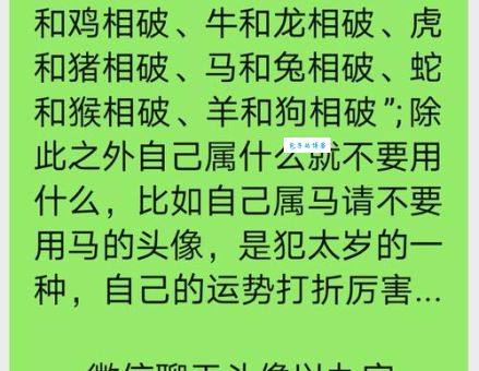 揭秘博览群书是什么生肖？原来智慧与它有关！
