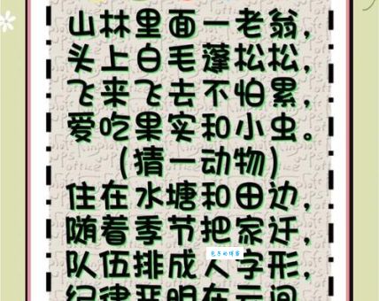 鼓乐齐鸣打一个生肖怎么猜？教你快速找到正确答案！