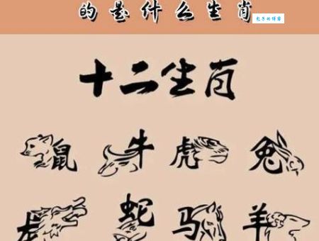 有名无实是什么生肖？揭秘其背后真正的含义！