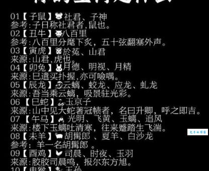 有名无实是什么生肖?揭秘其背后真正的含义!