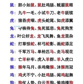 掘地三尺打一生肖谜底揭秘,原来是这个生肖啊!