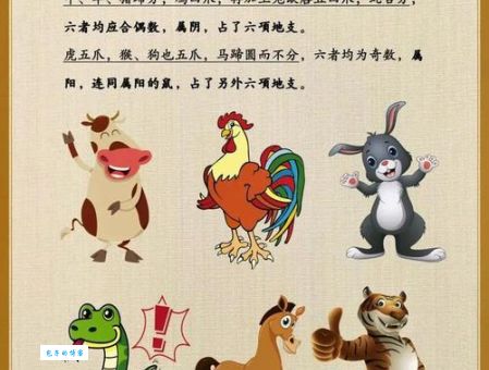 鼓吻奋爪生肖怎么解读？教你读懂生肖的秘密！