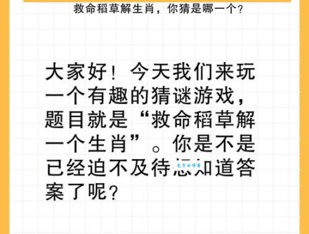 “取长补短打一准确生肖”谜底揭晓,你猜对了吗?