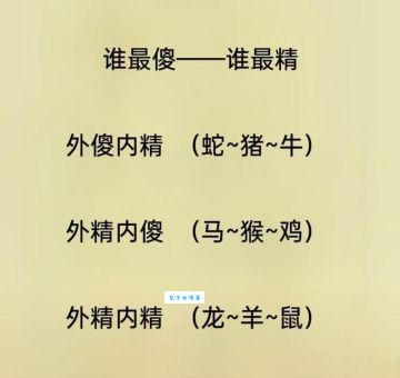 经纶满腹打一最佳生肖是哪个?看看你猜对了吗!