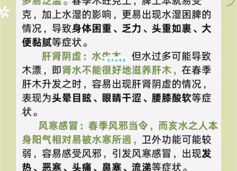 为什么说憨态可掬是猪?生肖文化带你一探究竟!