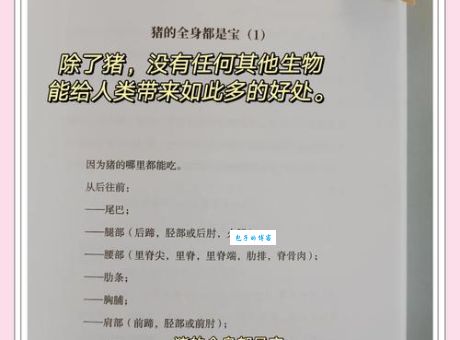 为什么说憨态可掬是猪？生肖文化带你一探究竟！