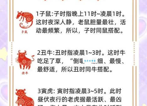 揭秘张三李四是什么生肖，常见问题一次解答清楚！