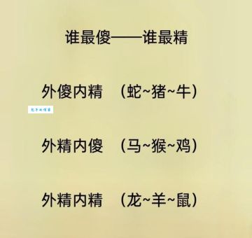 诛求无已打一正确生肖？这个答案让你意想不到！