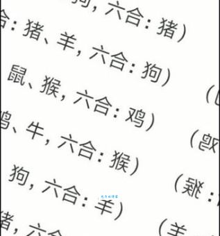 信马游缰打一准确生肖怎么猜?教你快速找到答案!