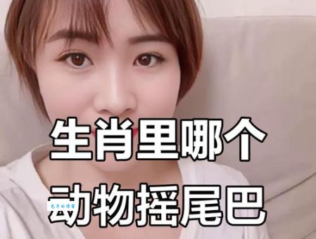 摇头摆尾打一个生肖是什么生肖？教你轻松猜出来！