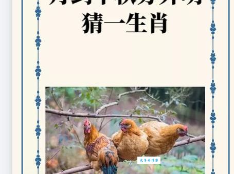 批鳞请剑指什么生肖？原来是这个生肖啊！