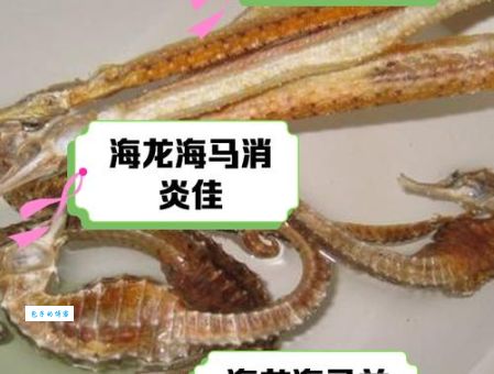 揭秘大海水下有特马指什么生肖,原来是它啊!