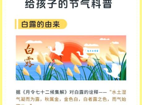 白露是什么生肖？一文读懂节气与属相奥秘！