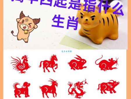 爪牙之士猜一最佳生肖的秘密，千万别错过！