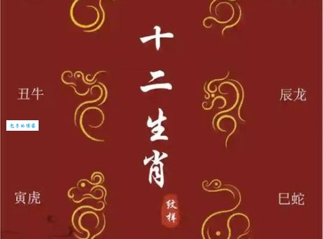 一纸华笺洒碧云是什么生肖？原来这个生肖最特别！