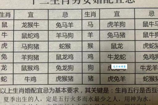 一纸华笺洒碧云是什么生肖?原来这个生肖最特别!