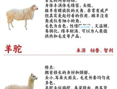 轻松搞懂羊触藩篱是什么生肖，超详细解析！