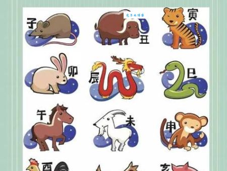 揭秘牵肠挂肚是什么生肖动物？看完你就明白了！