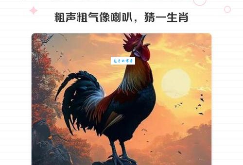 风流一生天生我打一正确生肖:揭秘这个谜语的答案