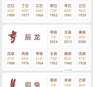 二天重数五六定什么生肖？快来揭晓这个谜底！