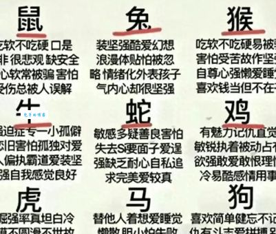 二天重数五六定什么生肖？快来揭晓这个谜底！