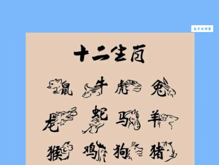 龙虎争霸是指什么生肖？生肖对照表看这里